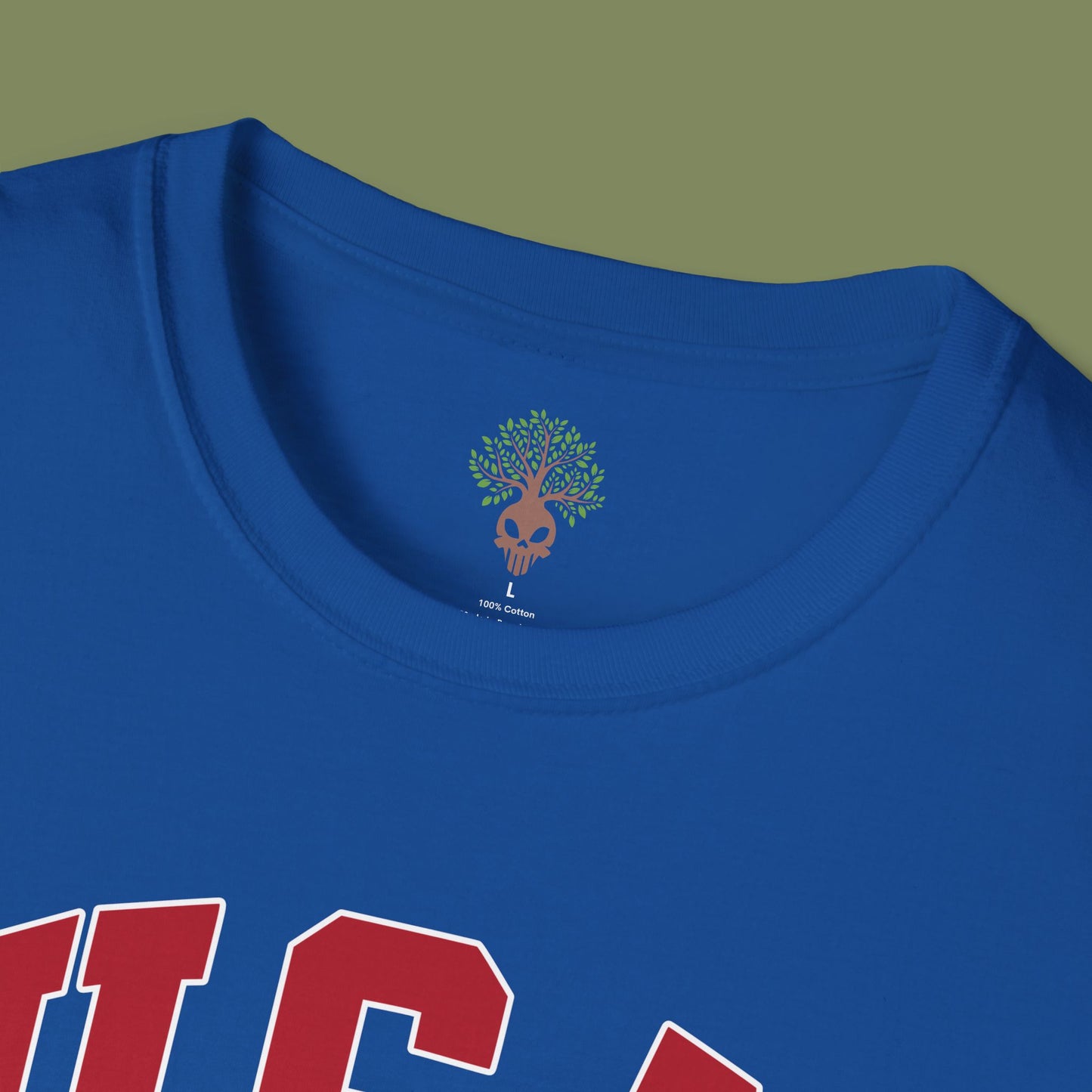 🇺🇸 USA Classic Tee